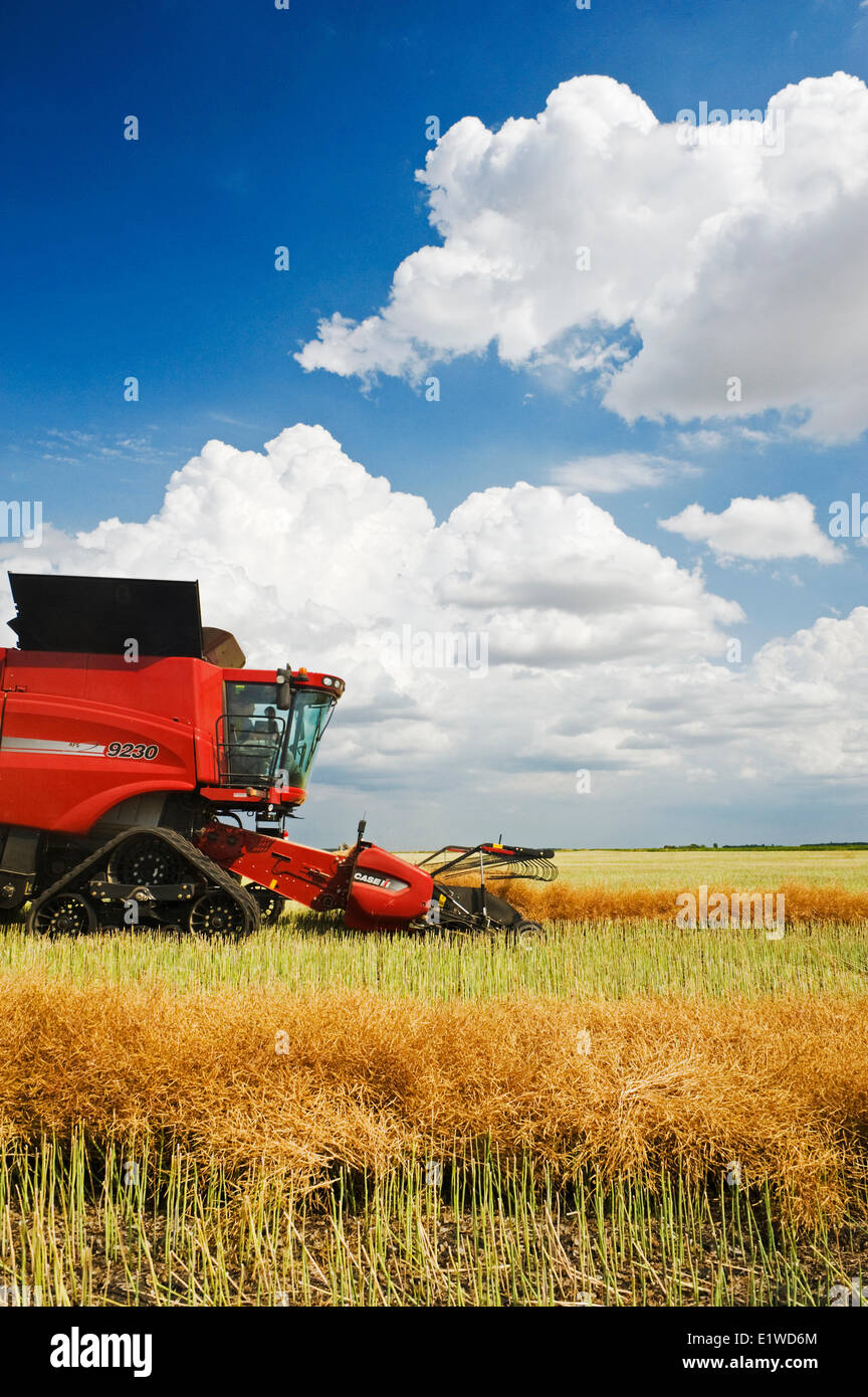 Sunshine harvester works hires stock photography and images Alamy