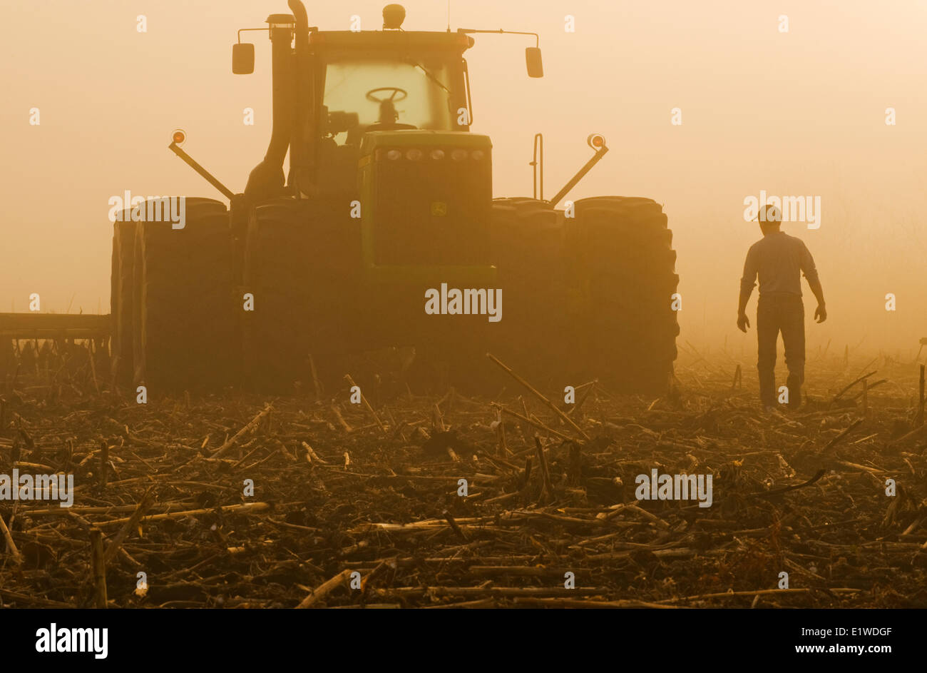 a farmer walks toward a tractor pulling cultivating equipment in a sunflower stubble field, near Lorette, Manitoba, Canada Stock Photo
