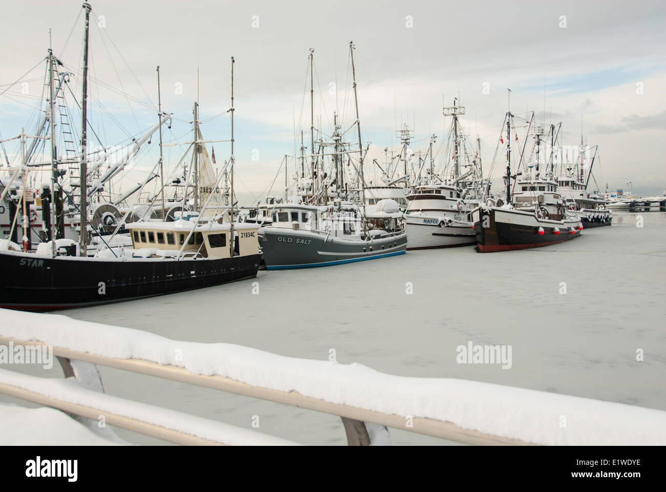 Fishing boats tied up for the winter freeze in Steveston Harbour, Steveston, Richmond, Metro Vancouver, British Columbia, Canada Stock Photo
