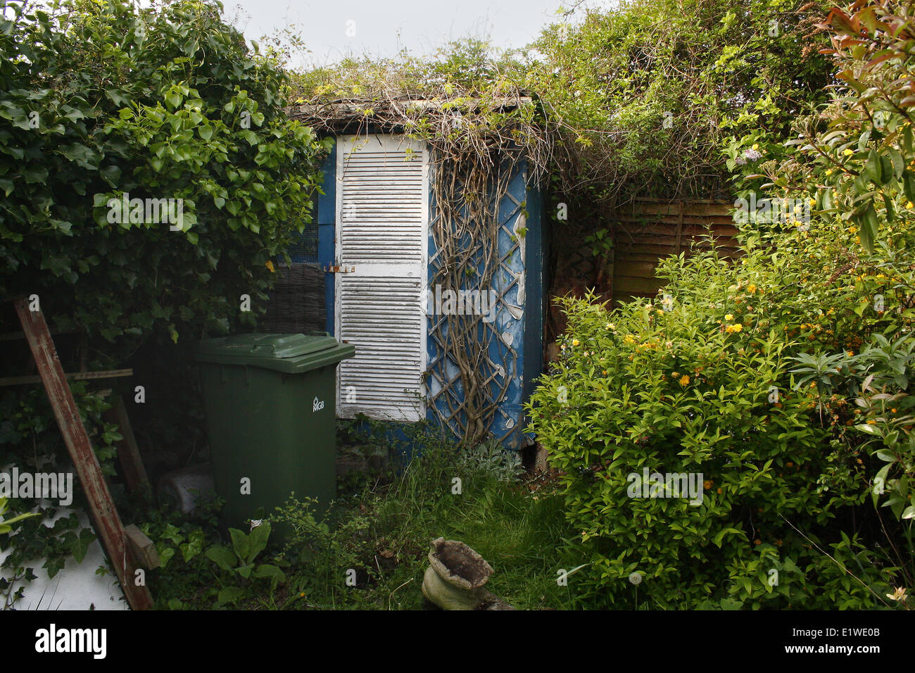 image of overgrown garden and rundown shed Stock Photo