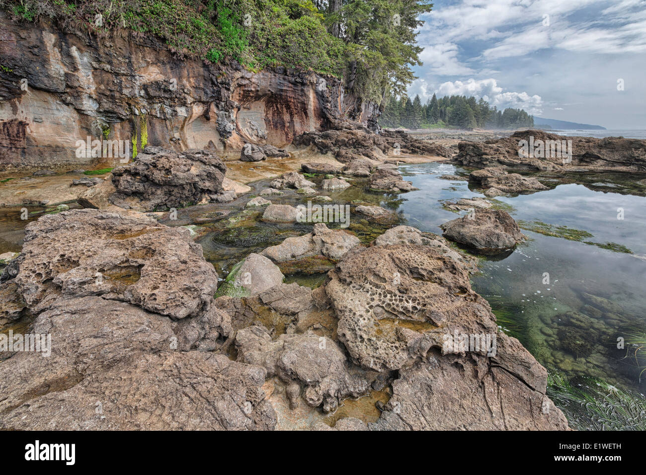Tidal pools and the ocean carved shoreline at Botanical Beach