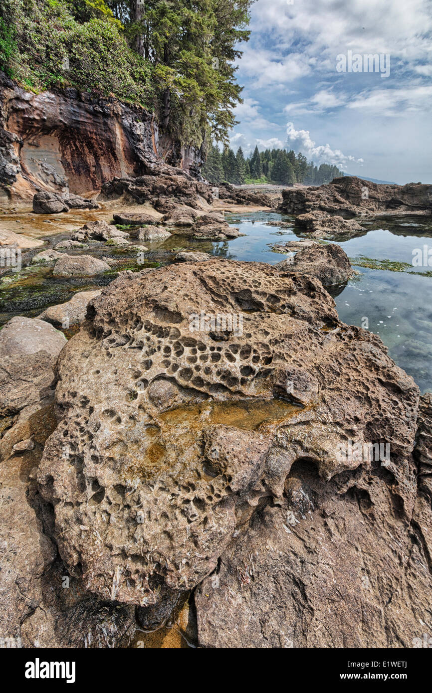 Vancouver island botanical park hires stock photography and images Alamy