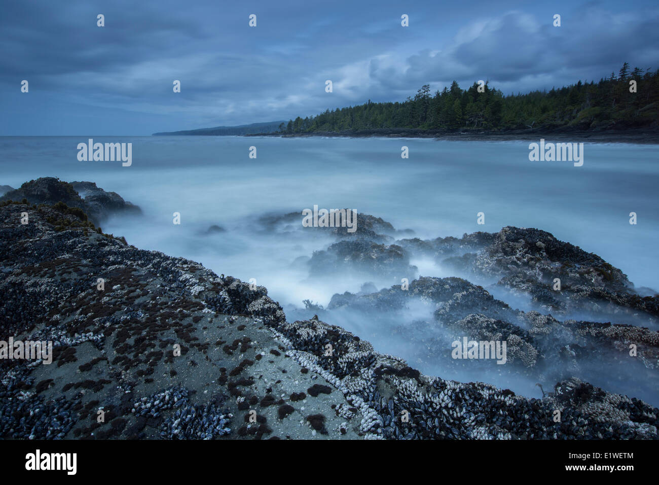 Long exposure of Botany Bay along the rugged west coast of Vancouver Island, British Columbia. Stock Photo