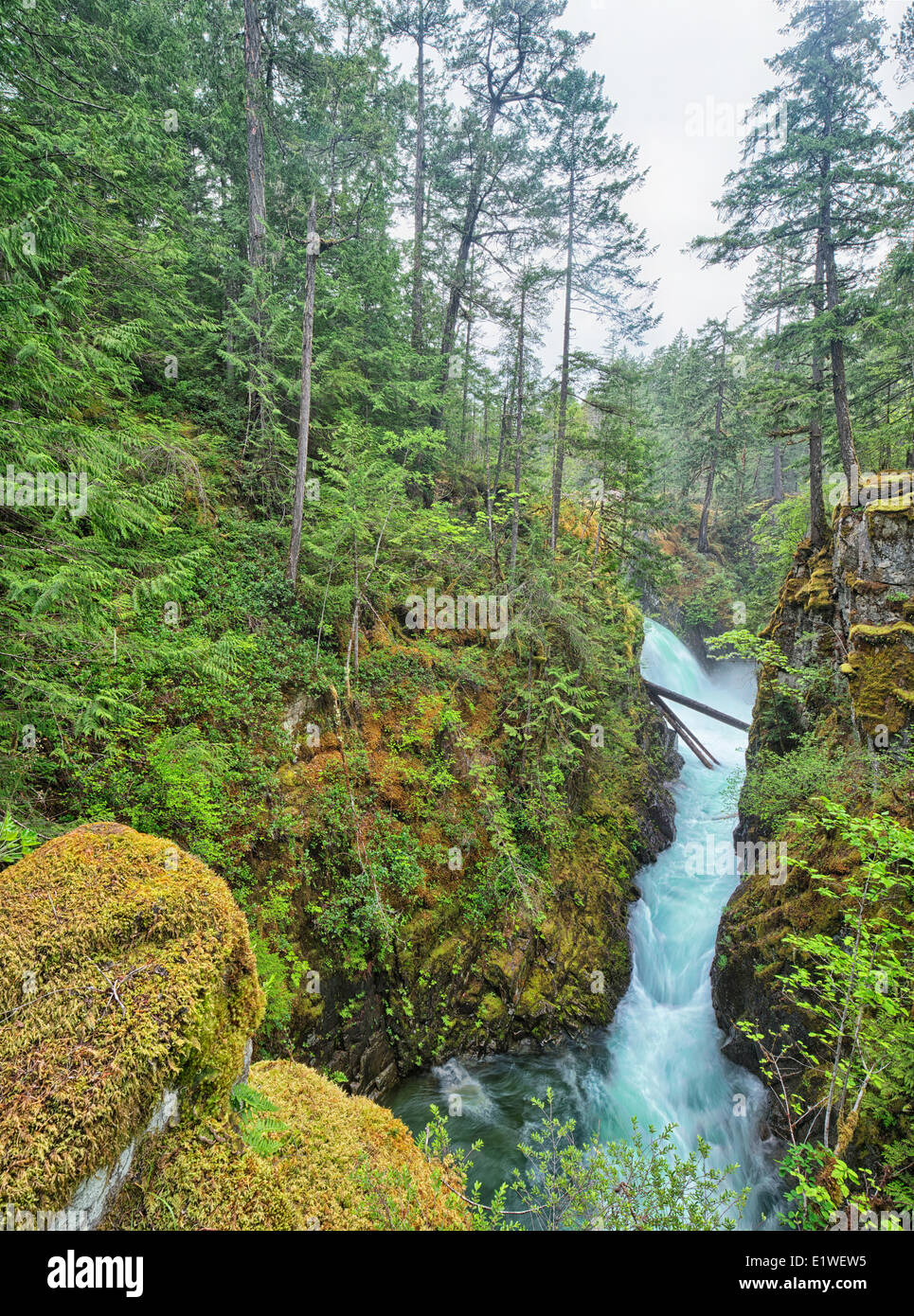 The Little Qualicum Rivers its aquamarine coloured water flows through