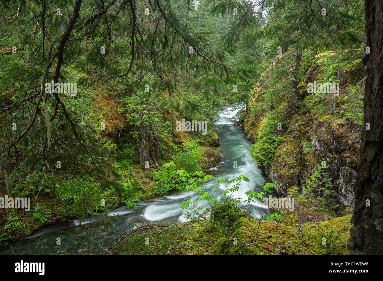 The Little Qualicum Rivers flows through a deep narrow Little