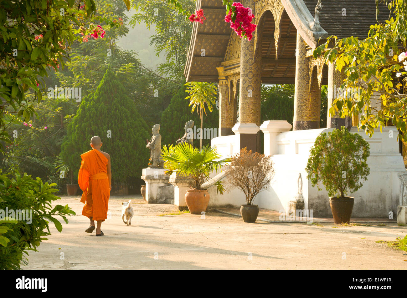 Buddhist monk luang probang hi-res stock photography and images - Alamy