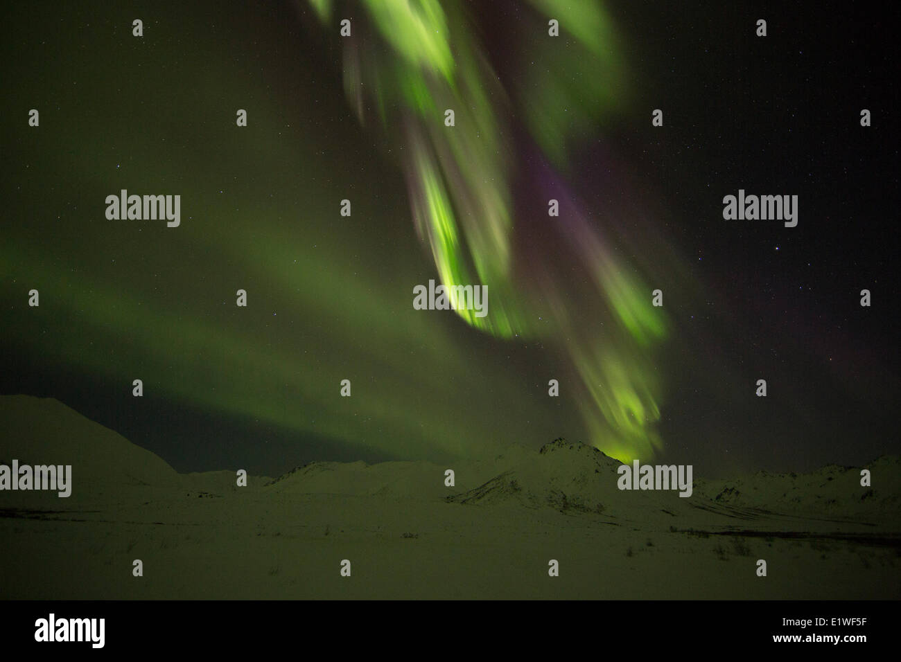 Aurora borealis or northern lights dance across the dark night sky ...