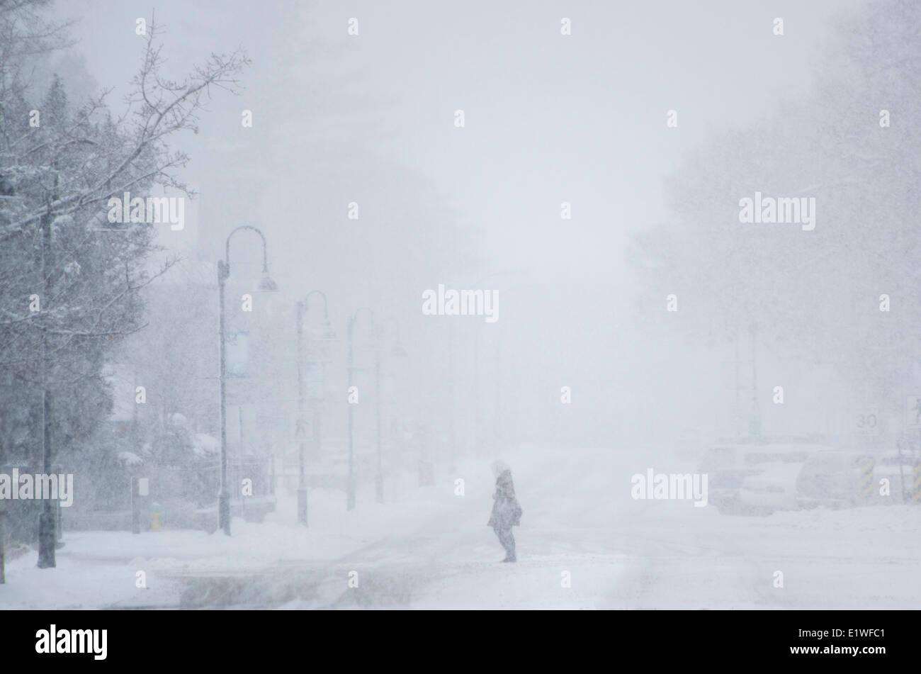 Person crossing a street during a snow storm in winter in Penticton, south Okanagan Valley of British Columbia, Canada. Stock Photo