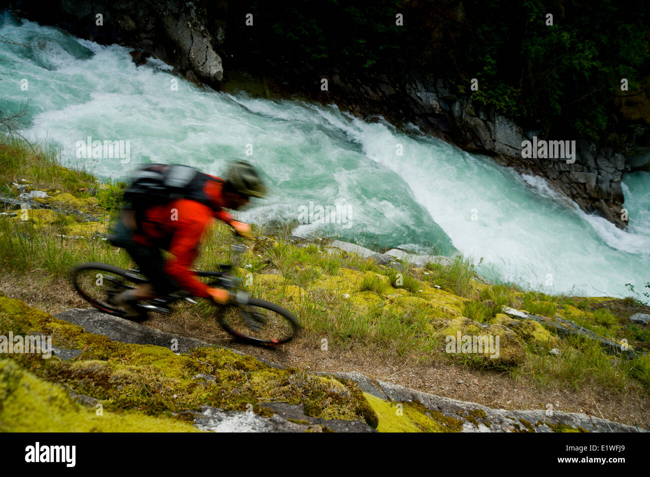 A mountain biker tenuously rides on a trail above a river in the Purcell Mountains, British Columbia Stock Photo