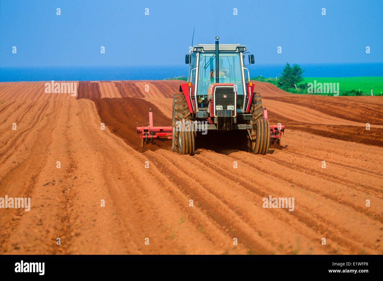 Tractor hilling potatoes, Argyle Shore, Prince Edward Island, canada Stock Photo