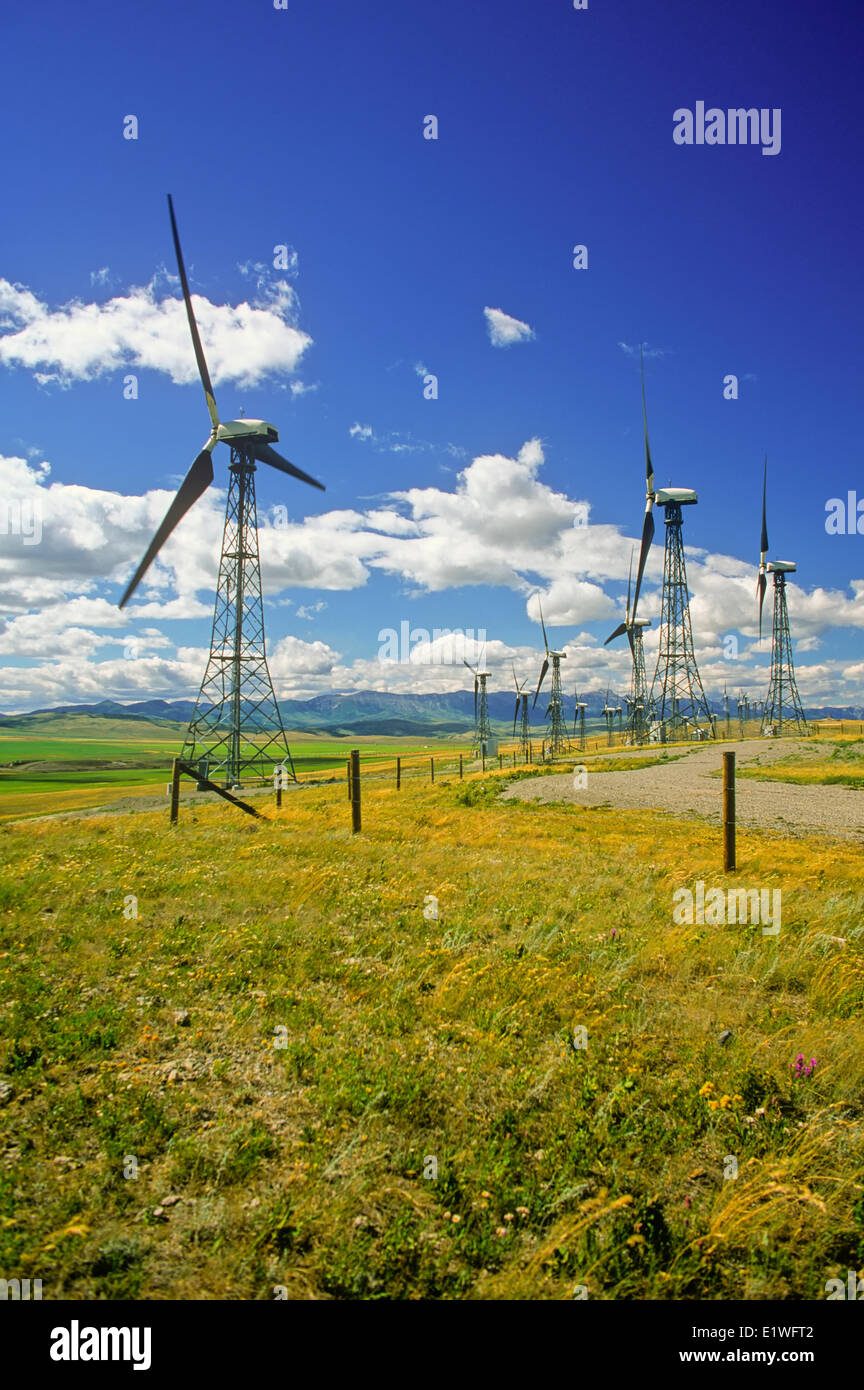 Wind turbines, Cowley Ridge Wind Power Inc. Pincher Creek, Alberta, Canada Stock Photo