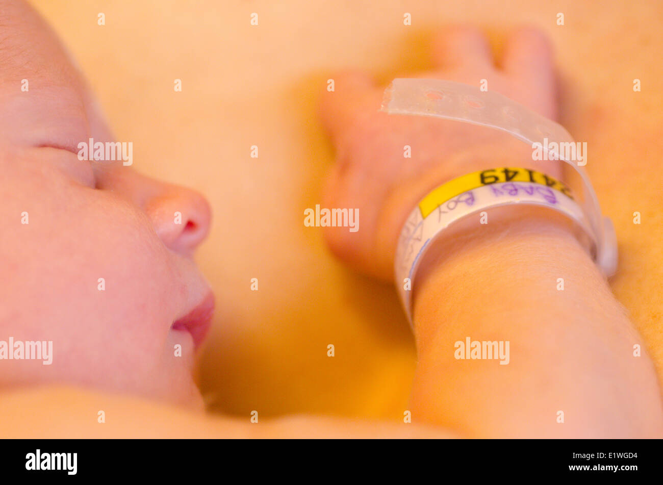 A one-day old newborn baby is fresh out of the womb and catalogued in the hospital nursery Stock Photo