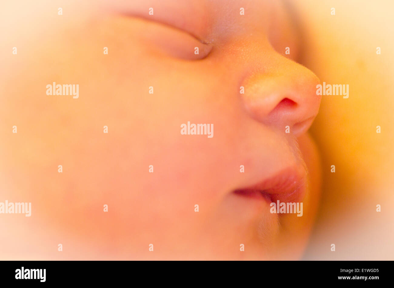 A one-day old newborn baby is fresh out of the womb and sleeping Stock Photo