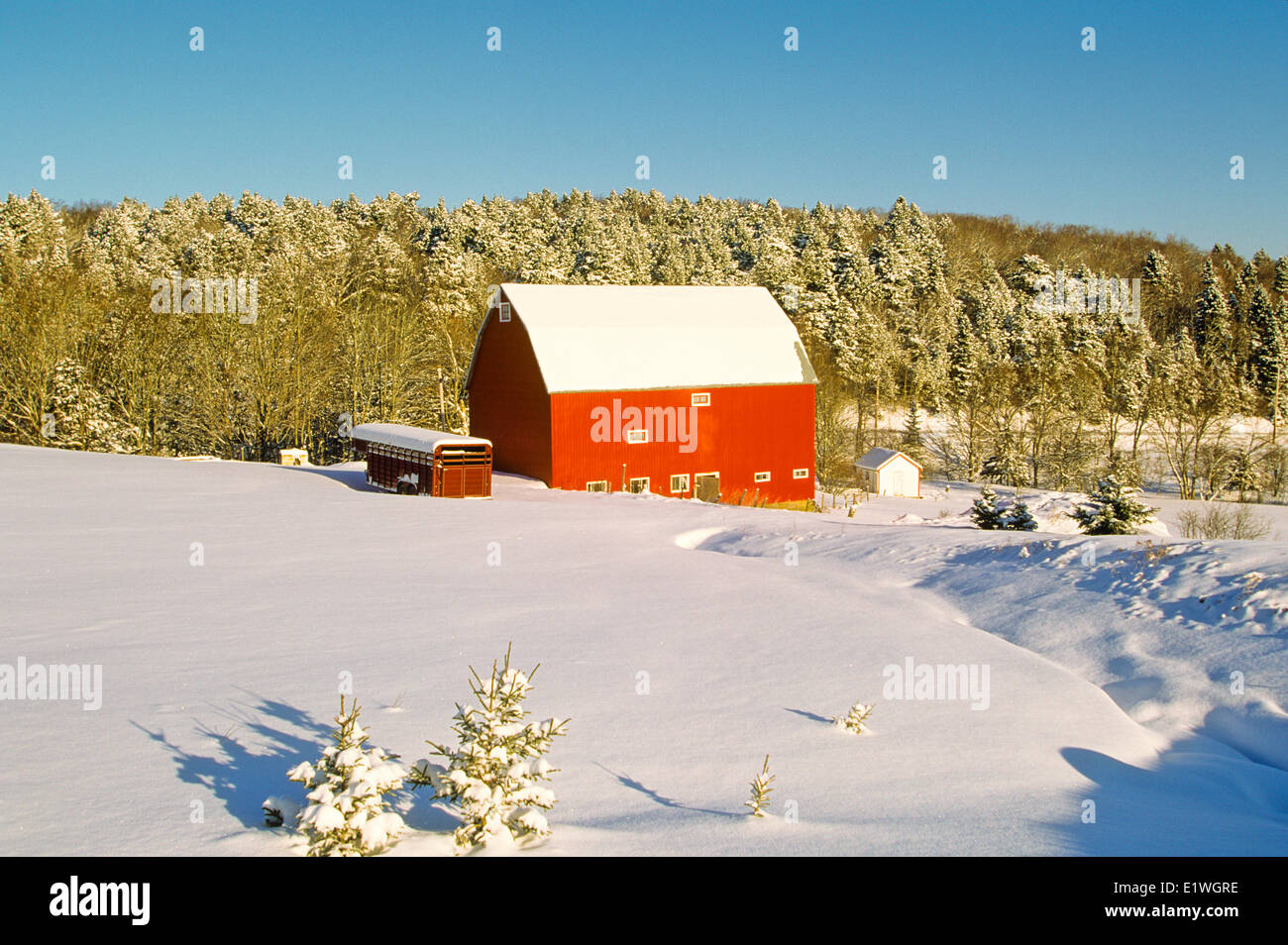 Red Barn in winter, River John, Nova Scotia, Canada Stock Photo Alamy