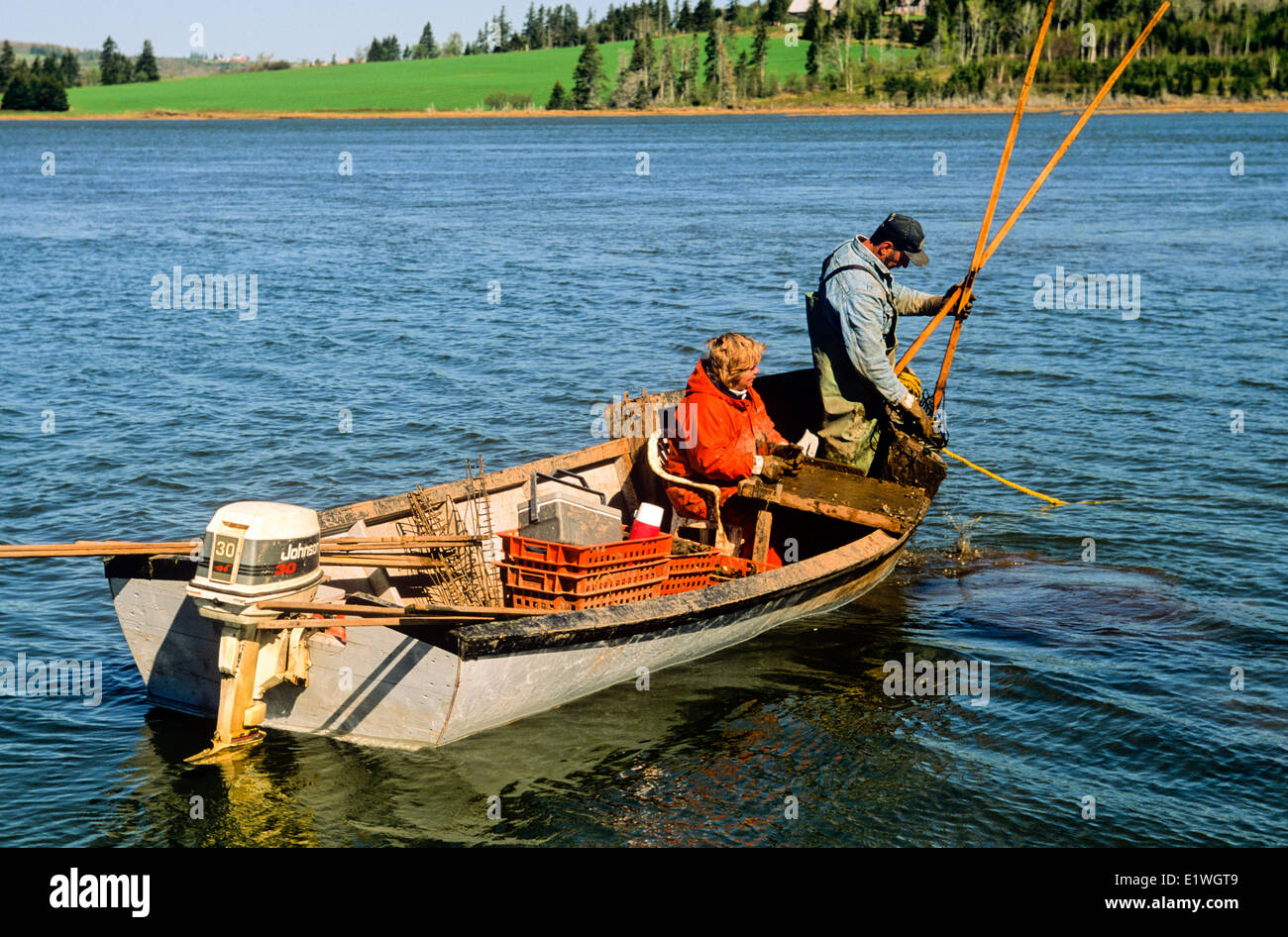 Oyster fishermen, West River, Prince Edward Island, Canada, Model released Stock Photo