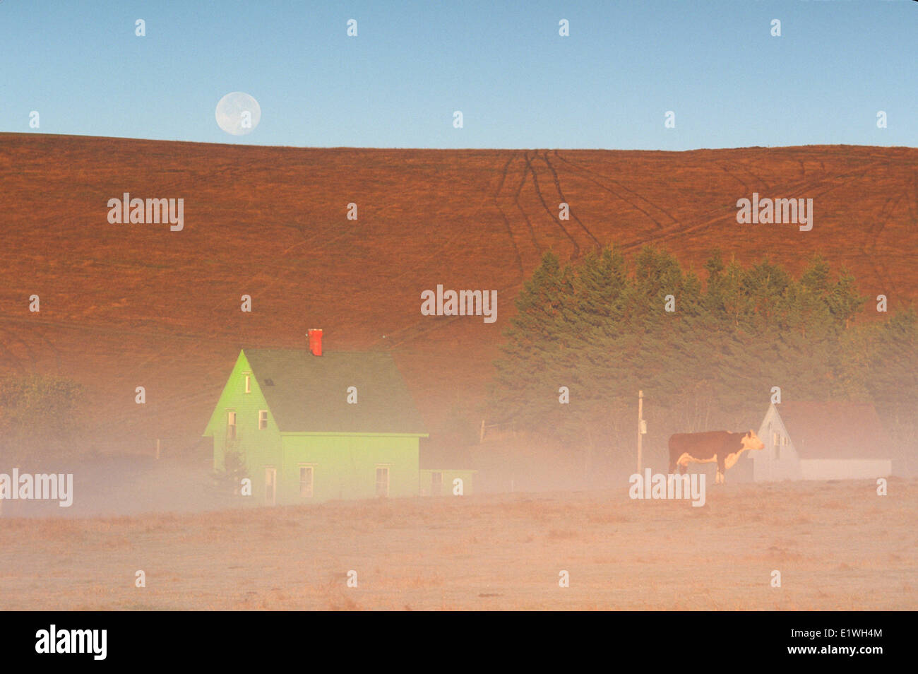 Rising river hires stock photography and images Alamy