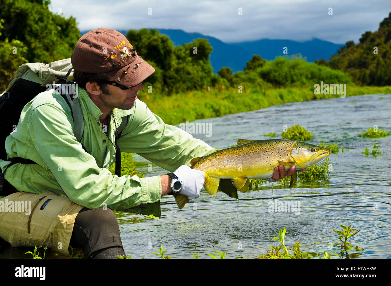 Wilsom's Spring Creek South Island New Zealand Brown Trout Stock Photo