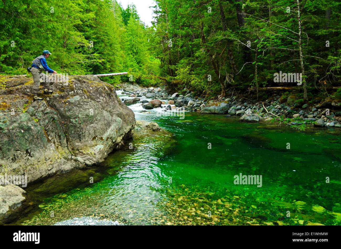 Man fly fishing vancouver island hi-res stock photography and