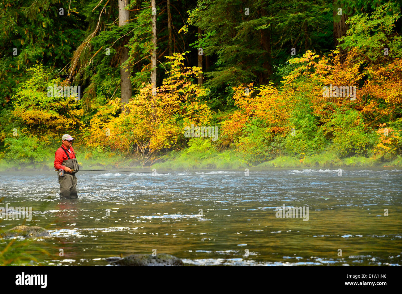 Fly fisherman in waders, Umqua River Oregon Steelhead Fishing Stock Photo