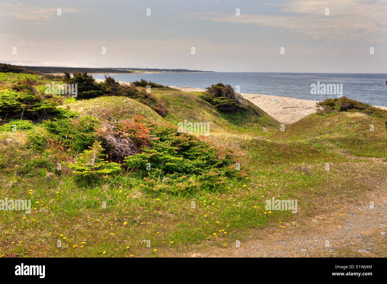 Seashore, Northern Gros Morne National Park, UNESCO Heritage Site, Newfoundland Stock Photo