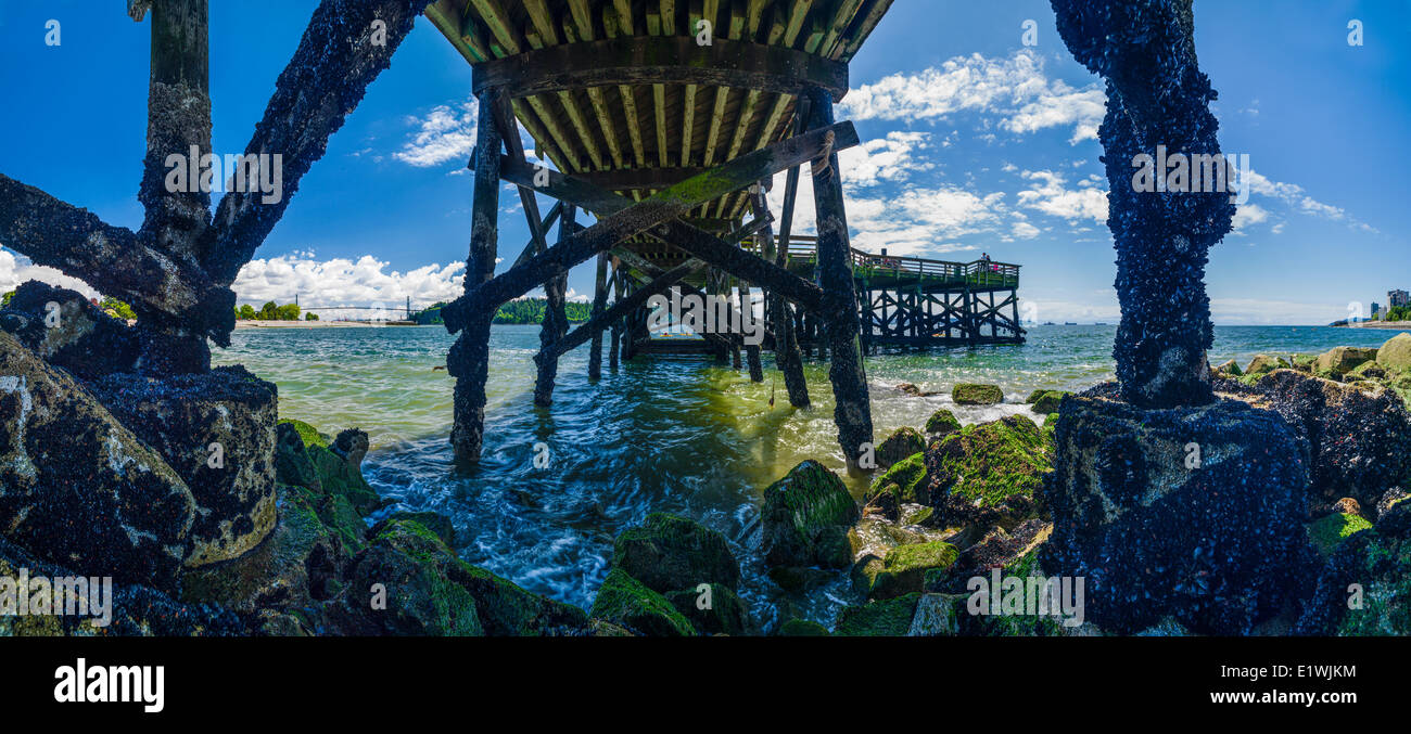 Under the Ambleside Pier. West Vancouver, B.C. Canada Stock Photo Alamy