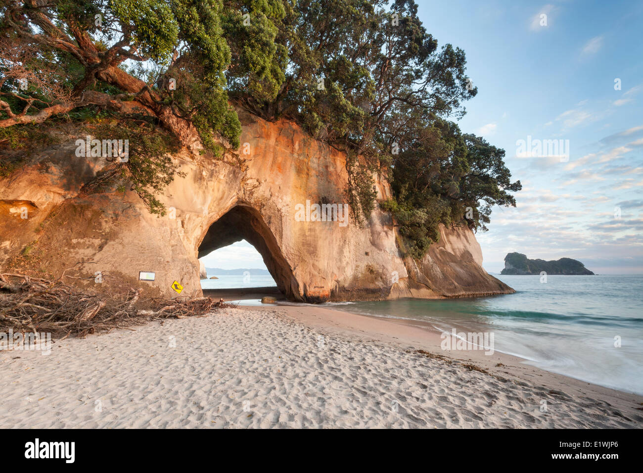 Arch in Cathedral Cove on the Coromandel Peninsula, Te Whanganui-A-Hei Marine Reserve, New Zealand Stock Photo