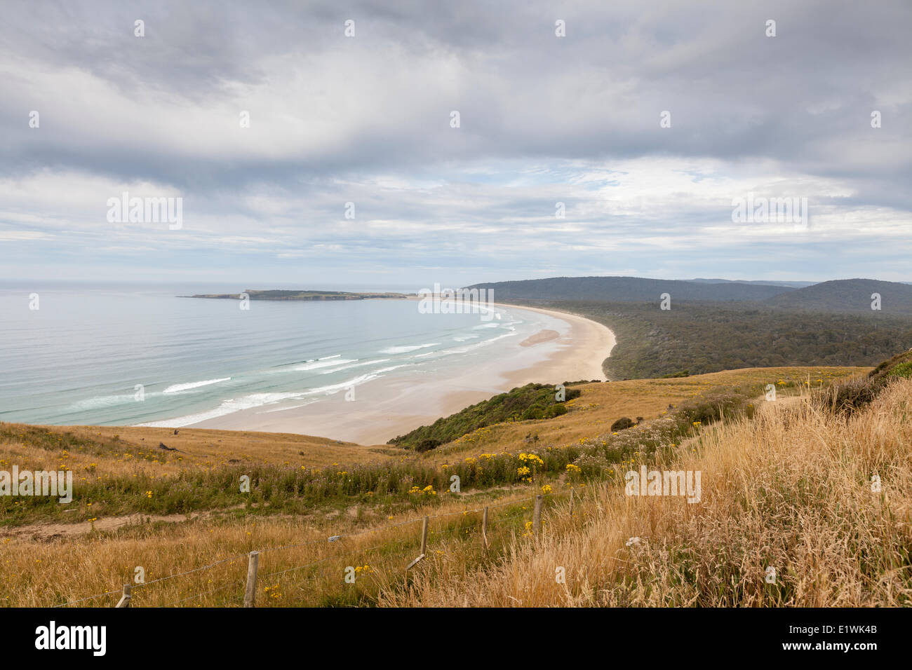 Florence Hill Lookout in The Catlins on the South Island of New Zealand Stock Photo