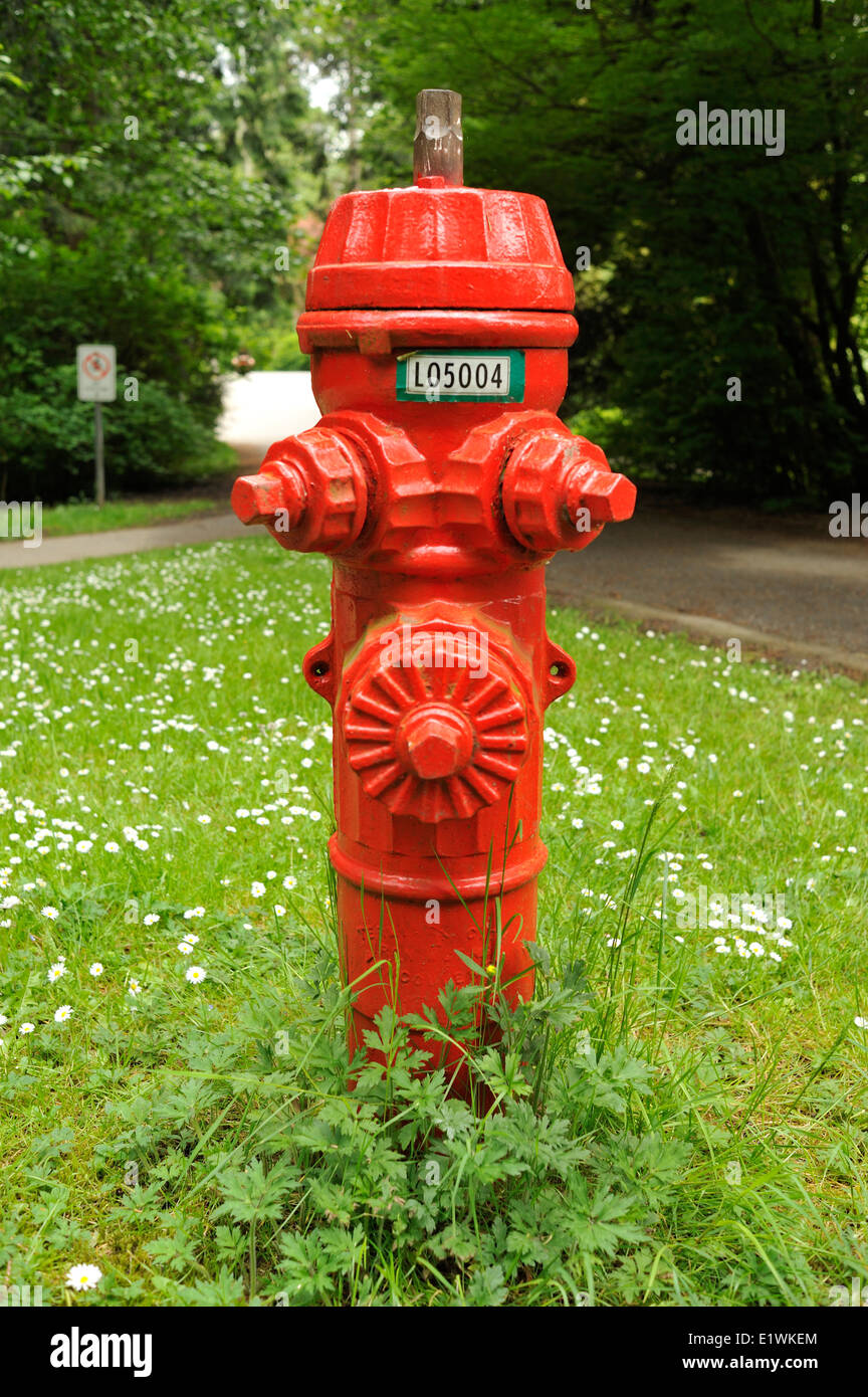 Red fire hydrant flowers hires stock photography and images Alamy