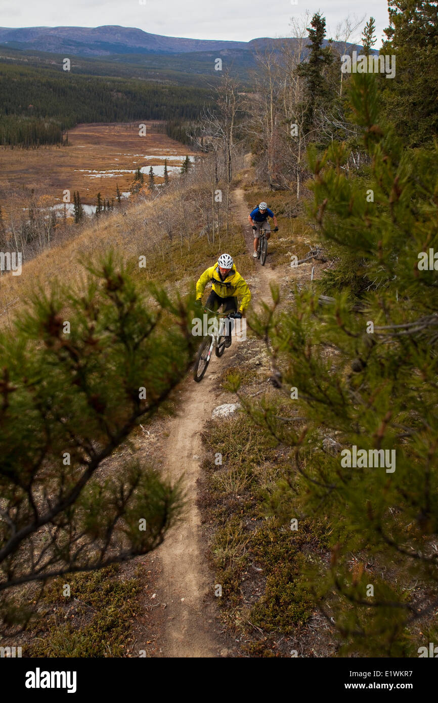 Two mountain bikers enjoying the fall colors and trails in Whitehorse ...