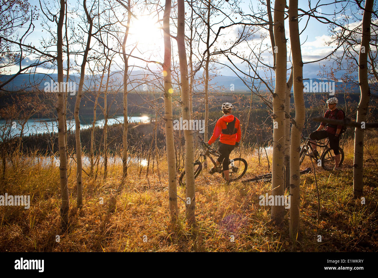 Two mountain bikers enjoying the fall colors and trails in Whitehorse ...