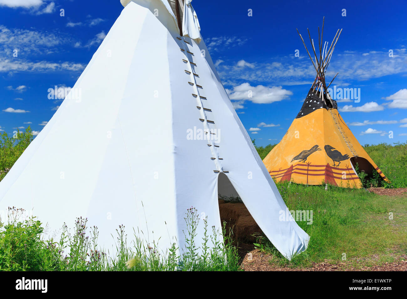 Teepees at Fort Whyte, Winnipeg, Manitoba, Canada Stock Photo