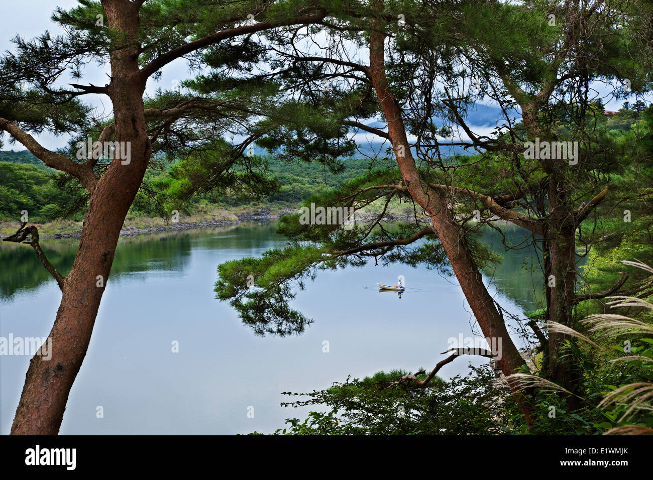 The smallest of the five lakes that surround the northern base of Mount Fuji, Lake Shoji is part of the Fuji-Hakone-Izu National Stock Photo