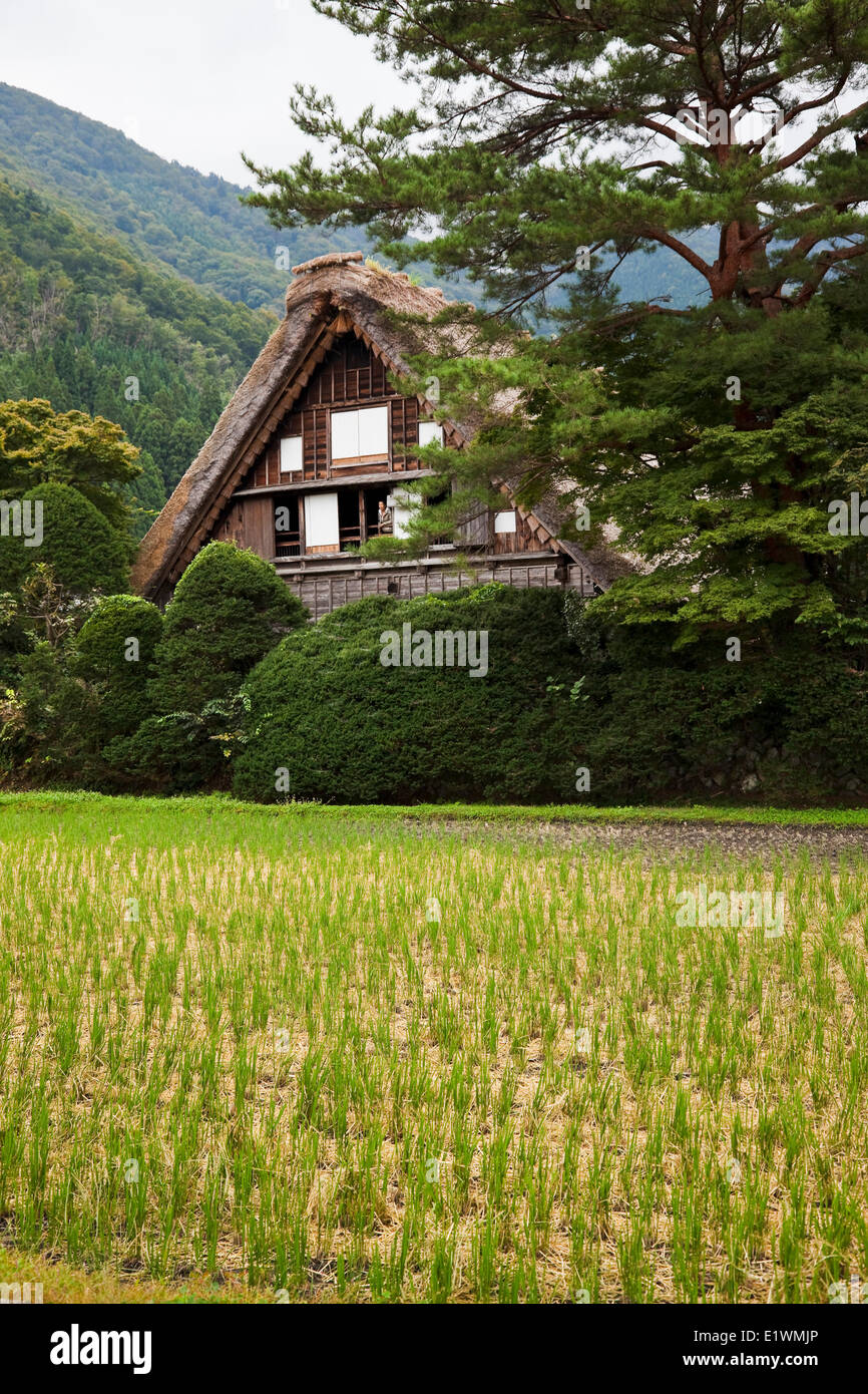 A UNESCO World Heritage Site the historic village Shirakawa-go in northern Japan is famous for its century-old gassho-zukuri Stock Photo