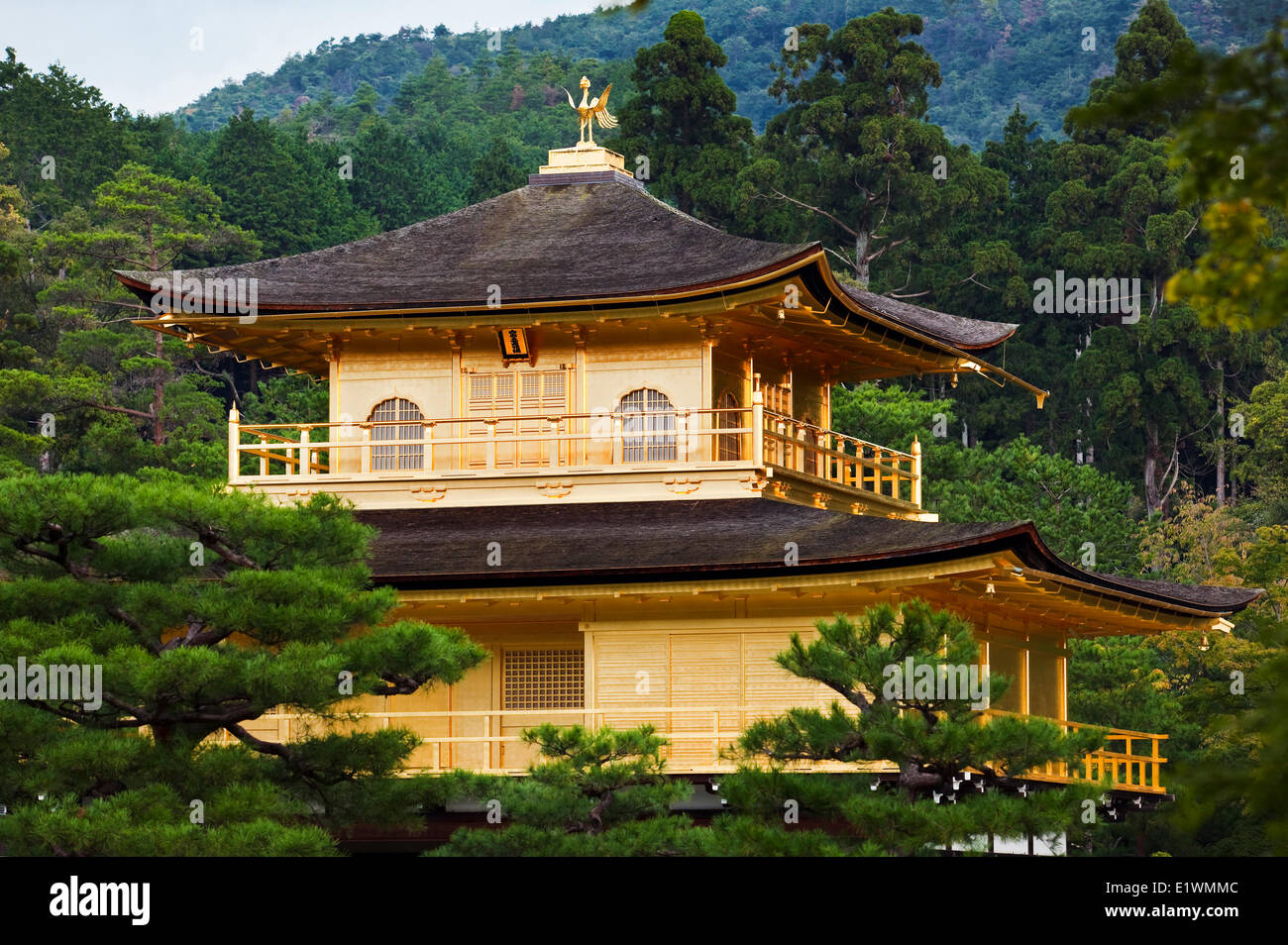 Located northern Kyoto Kinkaku-ji or Temple the Golden Pavilion was the retirement villa the shogun Ashikaga Yoshimitsu who Stock Photo