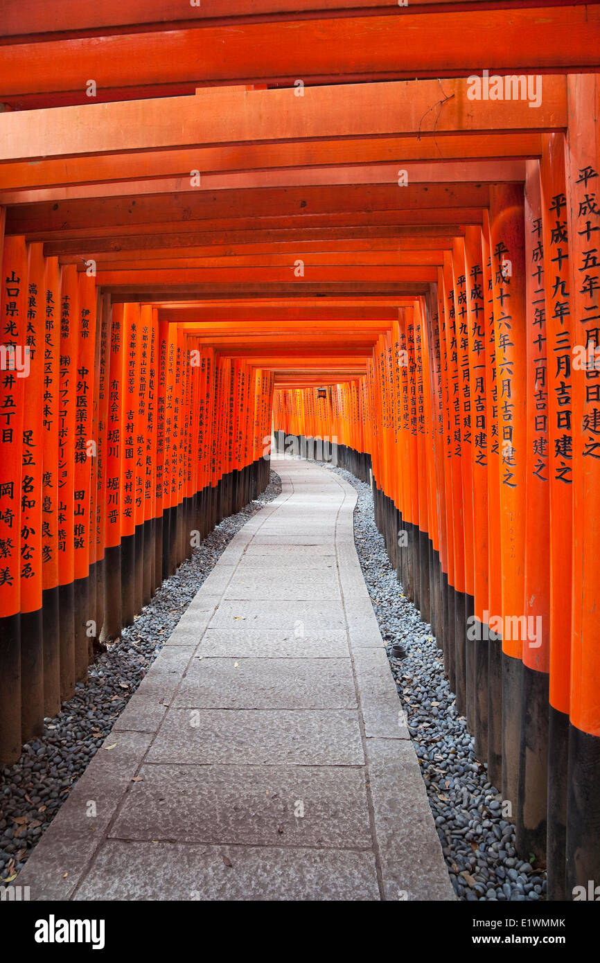 Dedicated to Inari the god rice sake Fushimi Inari Shrine is famous for its thousands vemilion torii gates that straddle a Stock Photo