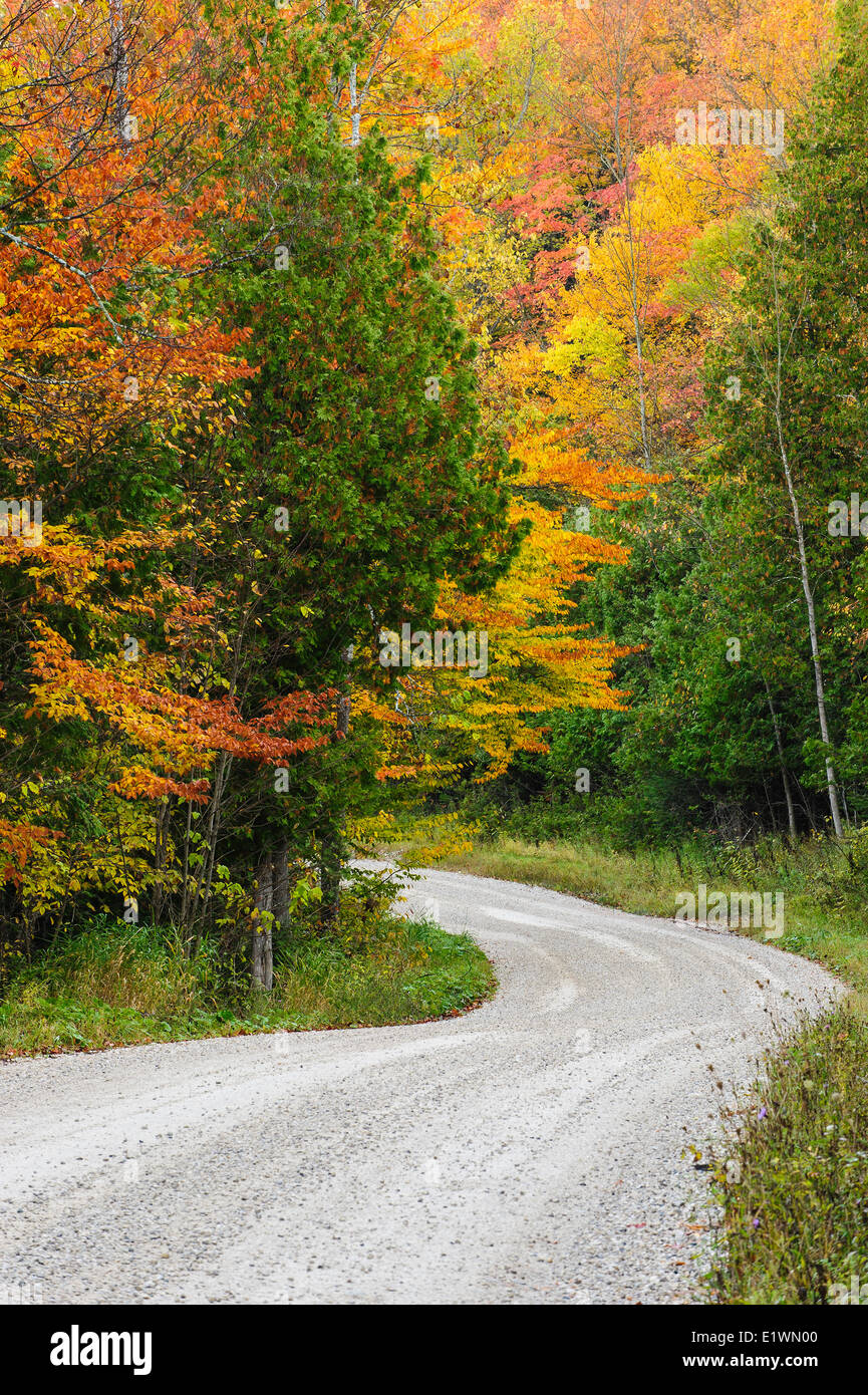 Lower Valley Road near Hogg's Falls, Beaver Valley, Ontario, Canada