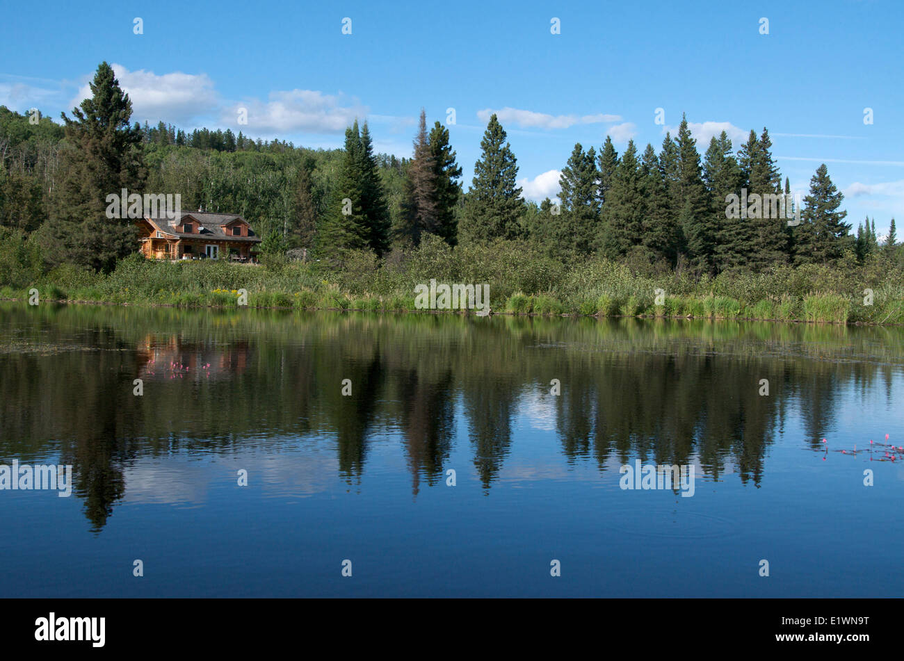 Log House Cabin In The Boreal Forest Near Thunder Bay Ontario