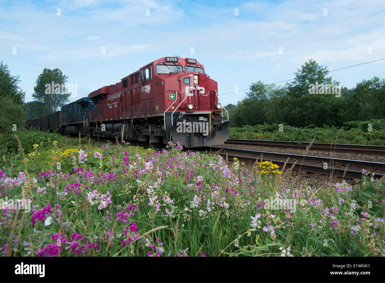 A CP (Canadian Pacific) train pulls empty coal cars through Langley, BC, Canada. Stock Photo