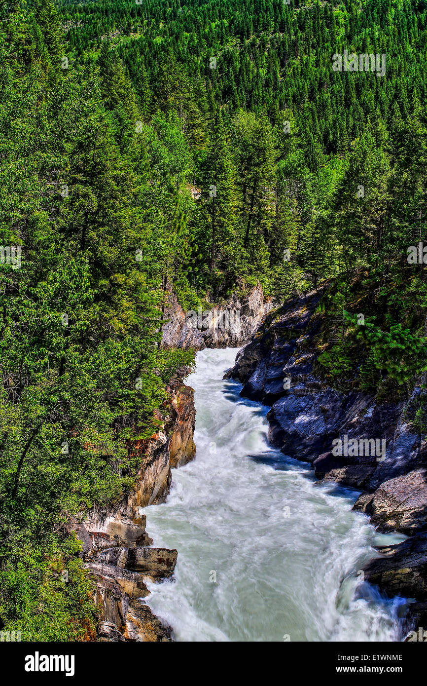 Bull River at high level, raging thru canyon, in British Columbia, Canada Stock Photo