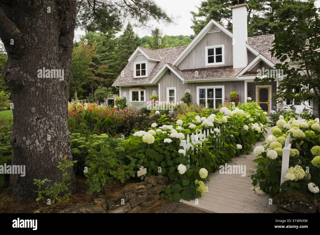 New Hampton Cottage Style Residential Home With Landscaped Front