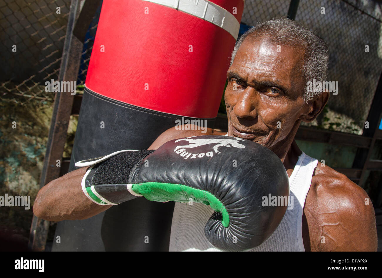 Mid sixties male boxer at Rafael Trejo Boxing Gym, Habana Vieja, Havana, Cuba Stock Photo