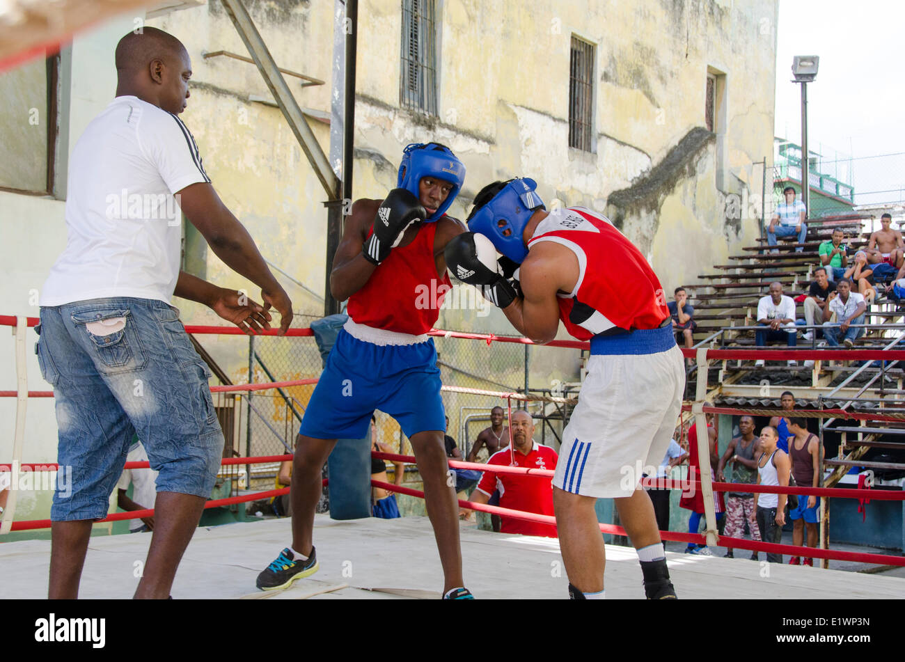 Scenes from Rafael Trejo Boxing Gym, Havana, Cuba Stock Photo Alamy