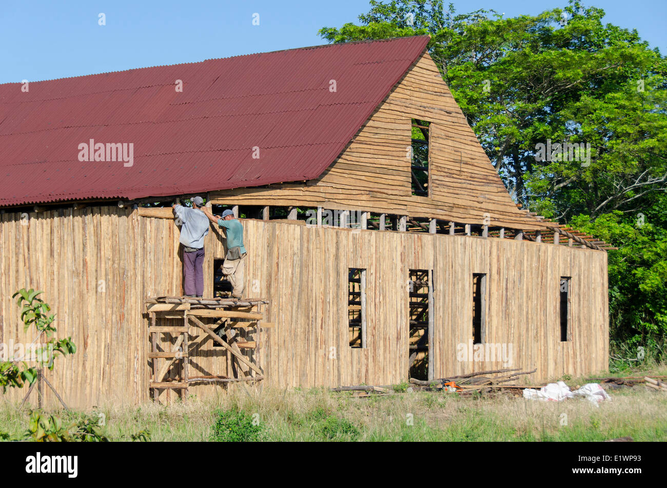 Erecting a tobacco drying shed near Vinales, Cuba Stock Photo
