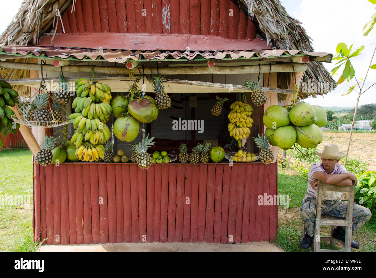 Roadside stand for fruit,  Vinales, Cuba Stock Photo