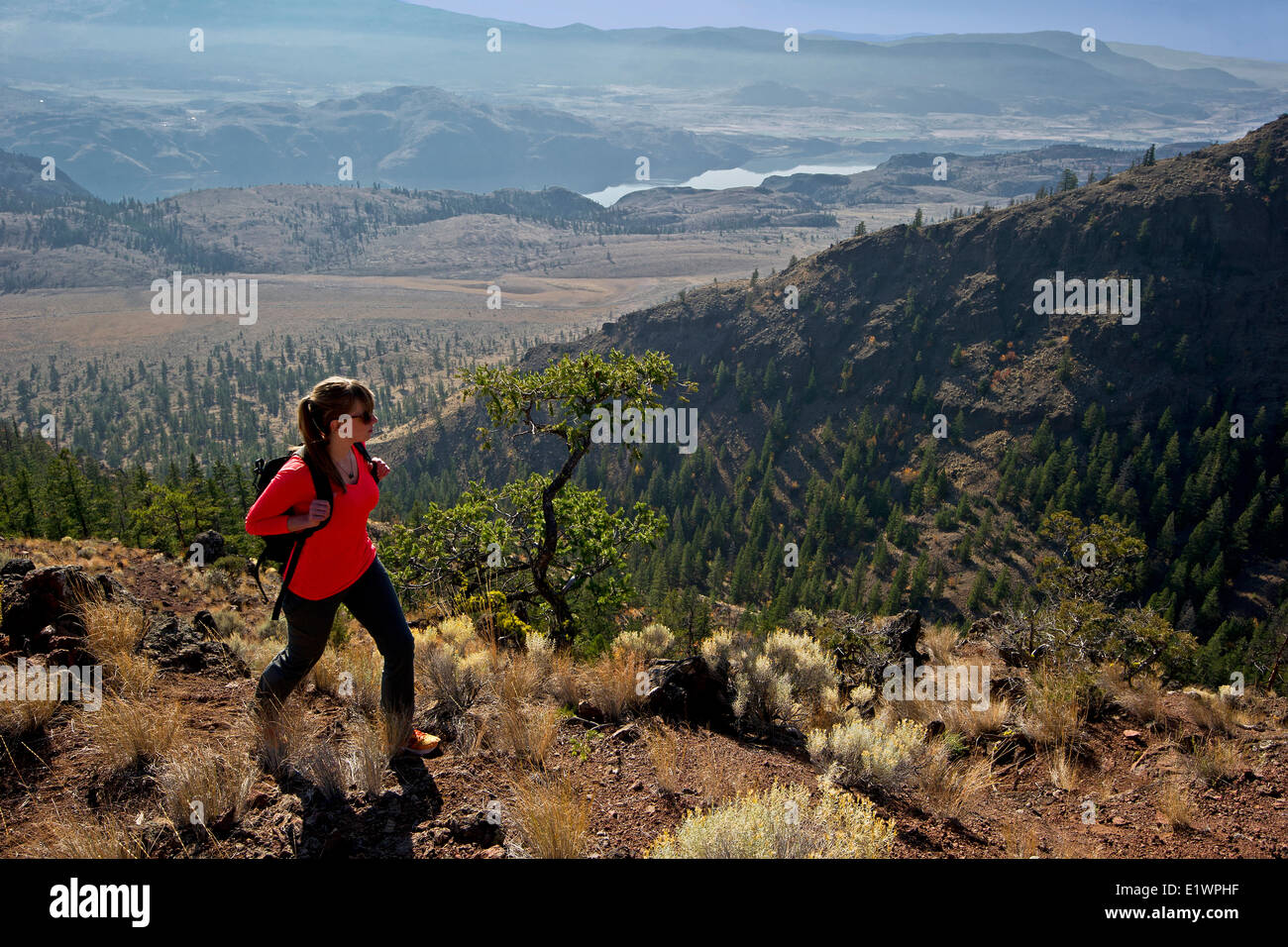 A young woman hikes the Dewdrop trail in the Lac du Bois protected grasslands above Kamloops lake just West Kamloops in the Stock Photo