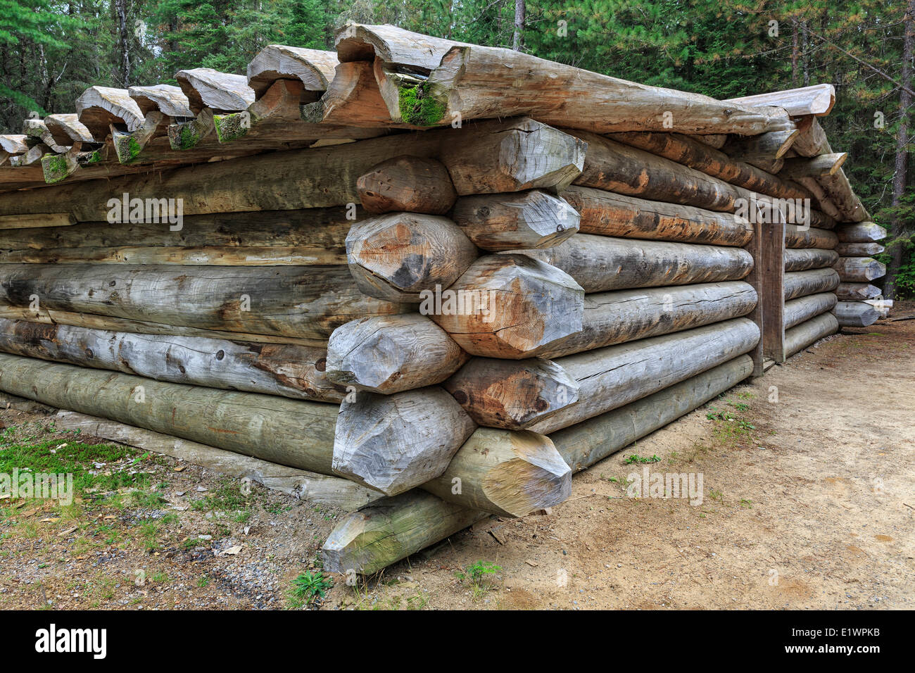 Log Cabin for logging camp workers historically known as a 'camboose shanty' Algonquin Logging Museum Algonquin Provincial Park Stock Photo
