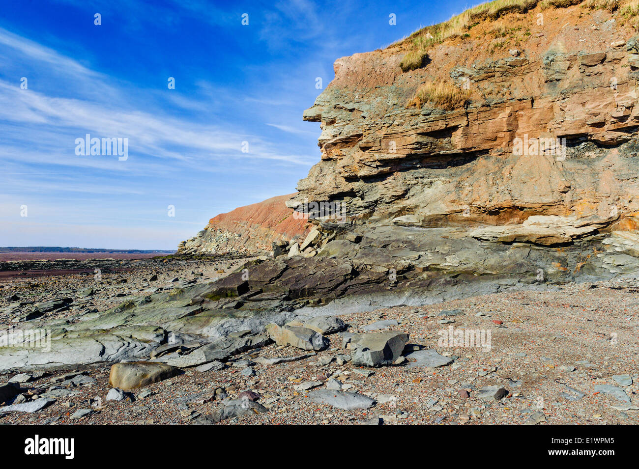 Joggins Fossil Cliffs where Bay Fundy tides expose fossils the Coal Age's carboniferous forests dating 300 million years ago. Stock Photo