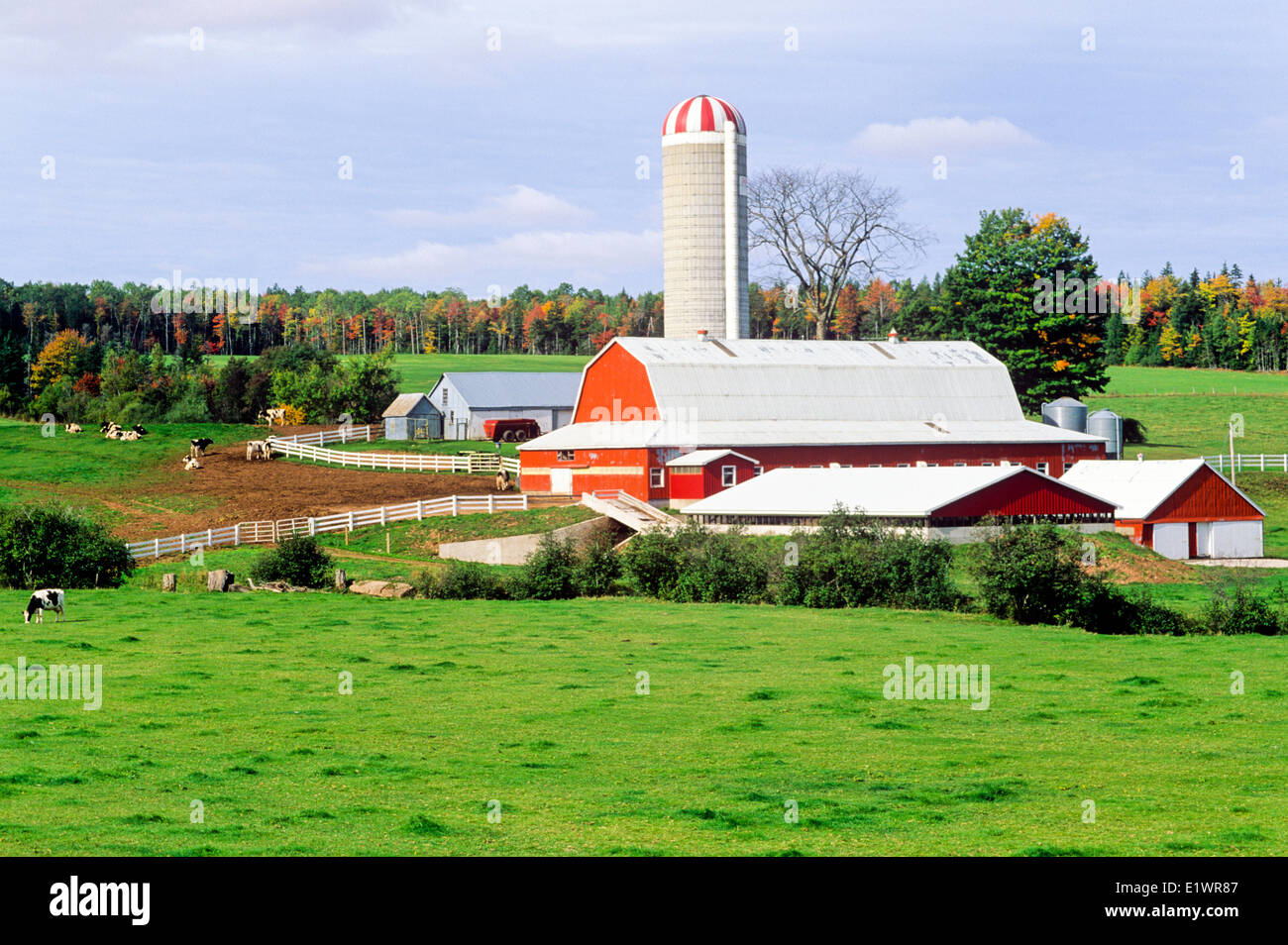 Farm, Old Barns, Nova Scotia, Canada Stock Photo Alamy