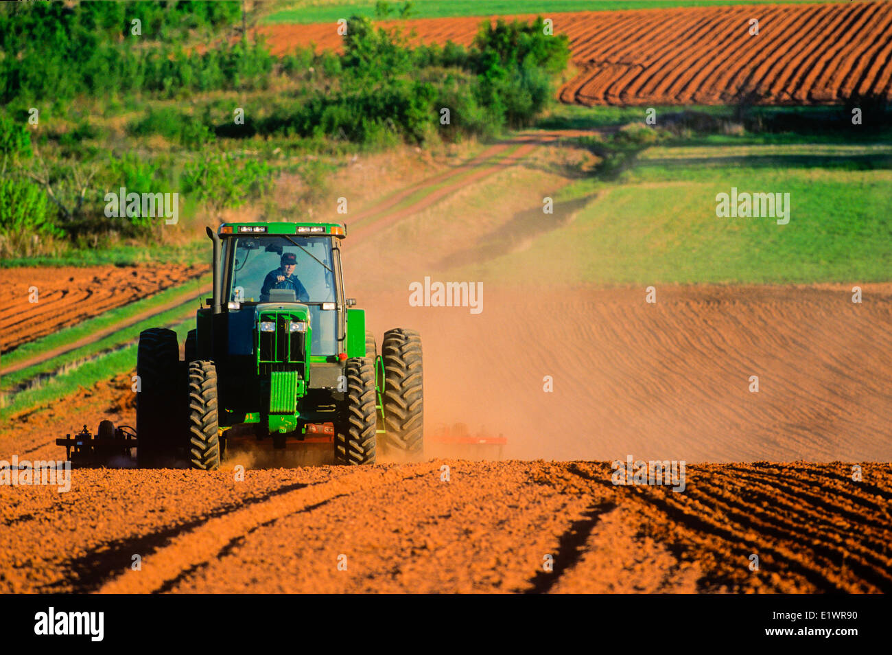 Disking potatoe field, Kinkora, Prince Edward Island, Canada Stock
