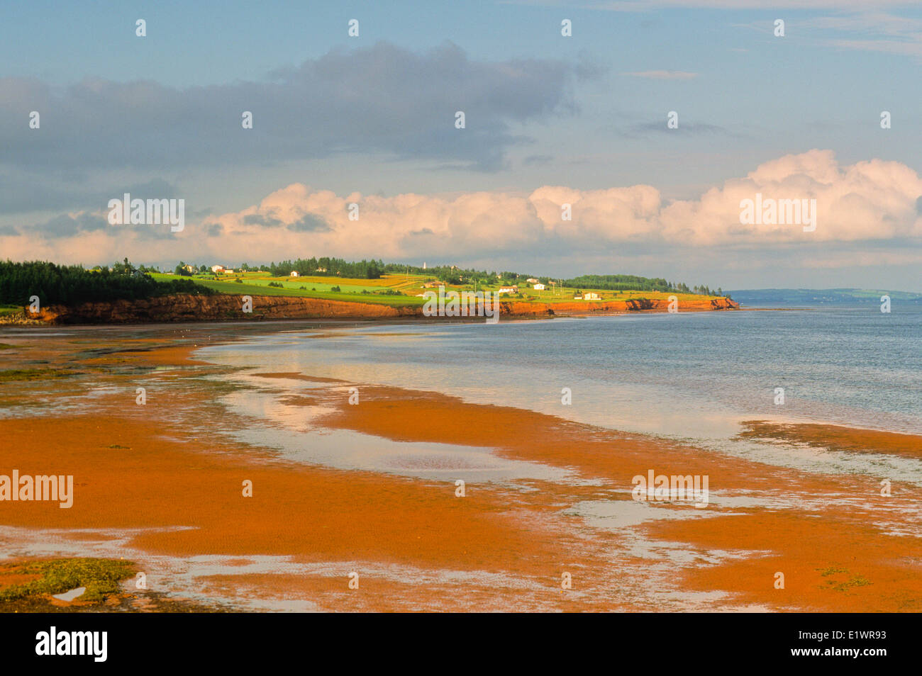 Coastline, Nine Mile Creek, Prince Edward Island, Canada Stock Photo